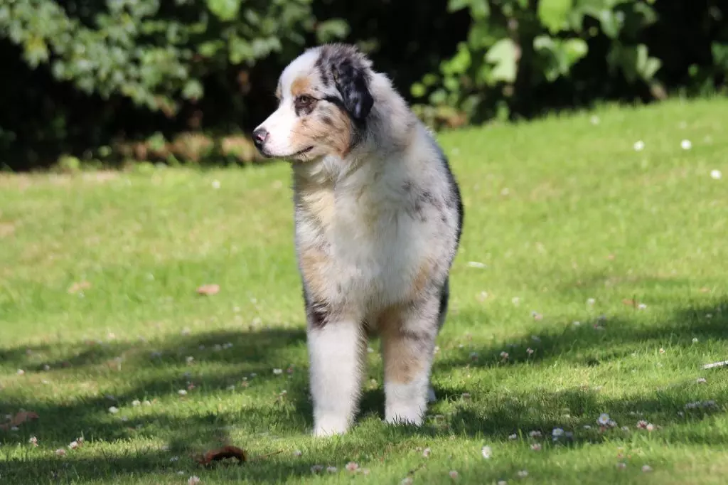 Publication : des Gardiens d'Hadès Auteur : isabelle hebert