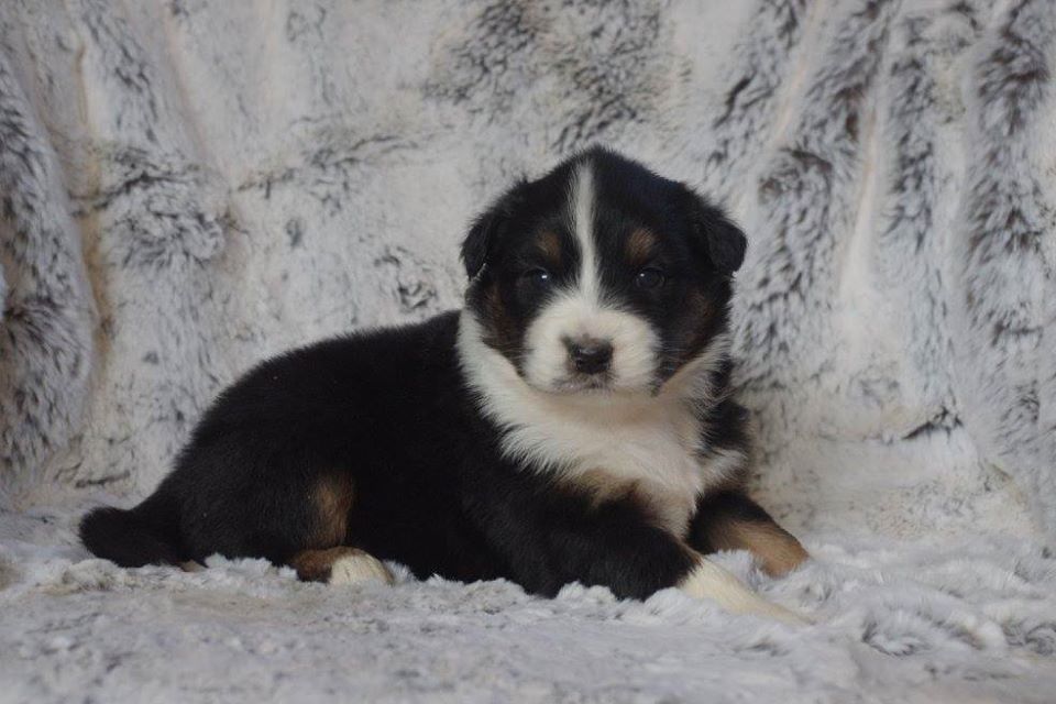 Publication : des Gardiens d'Hadès