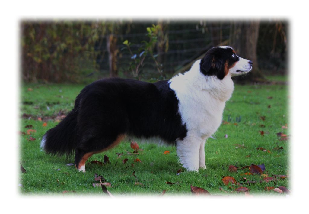 Publication : des Gardiens d'Hadès Auteur : hebert