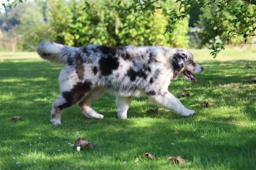 Publication : des Gardiens d'Hadès Auteur : isabelle hebert