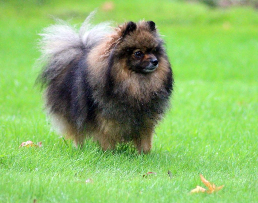 Publication : des Gardiens d'Hadès