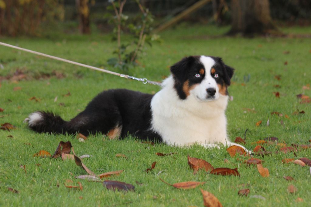 Publication : des Gardiens d'Hadès Auteur : hebert
