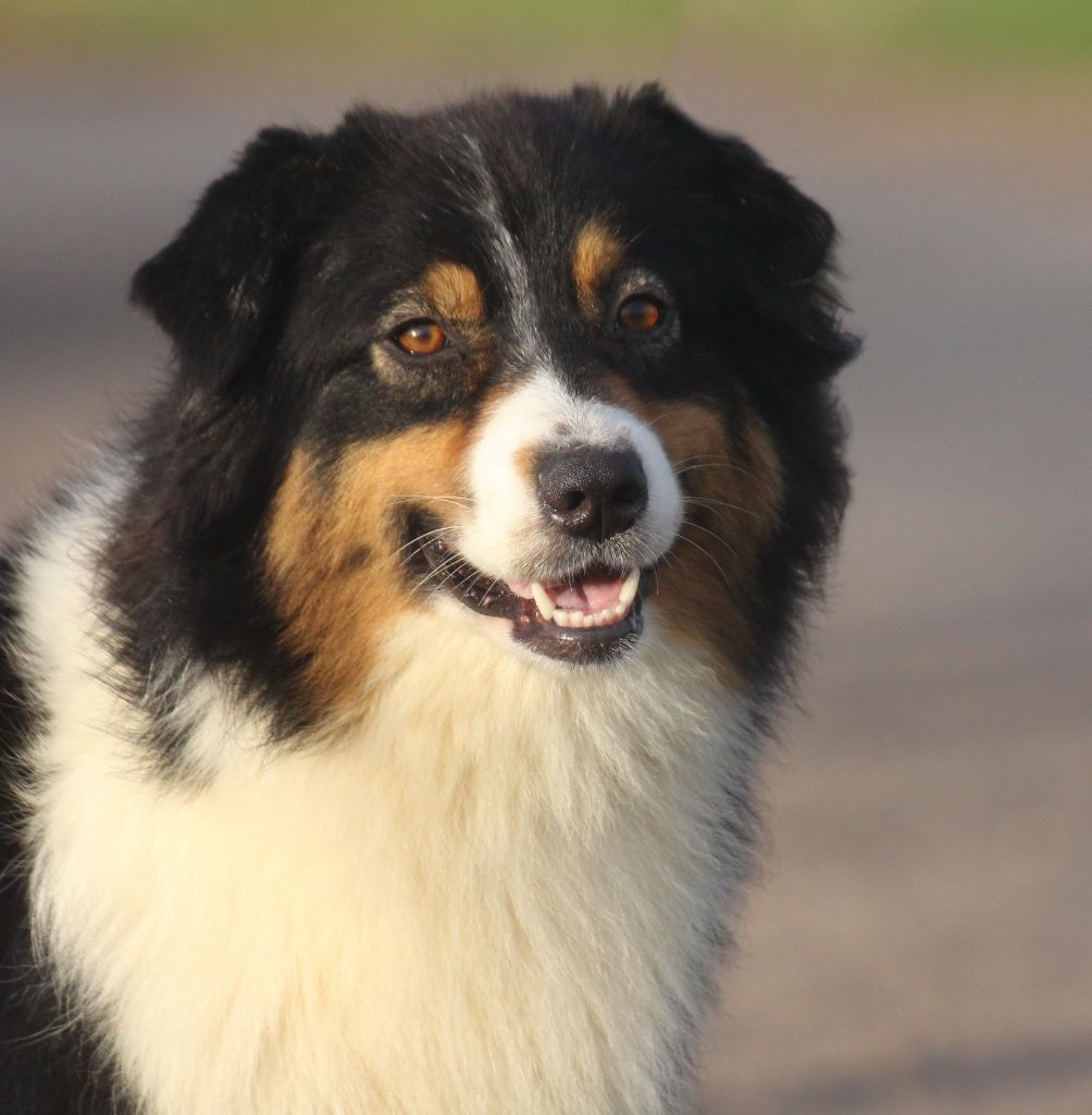 Publication : des Gardiens d'Hadès