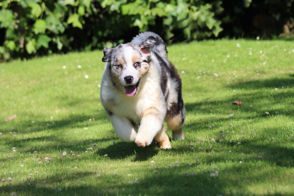 Publication : des Gardiens d'Hadès Auteur : isabelle hebert