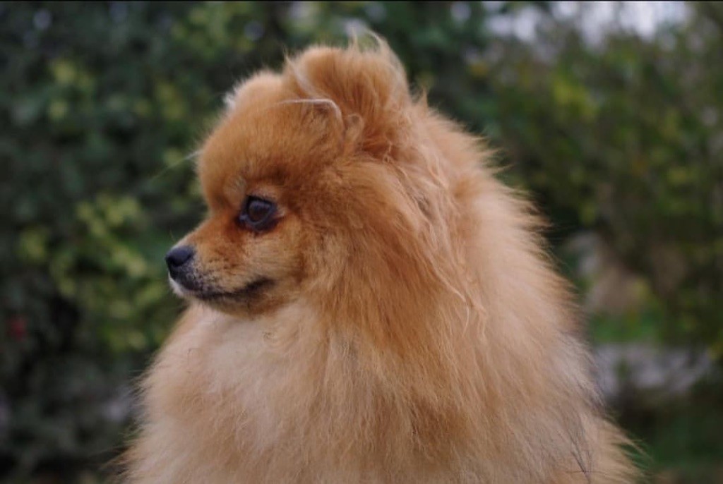 Publication : des Gardiens d'Hadès