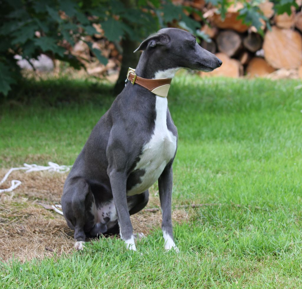 Publication : des Gardiens d'Hadès Auteur : hebert