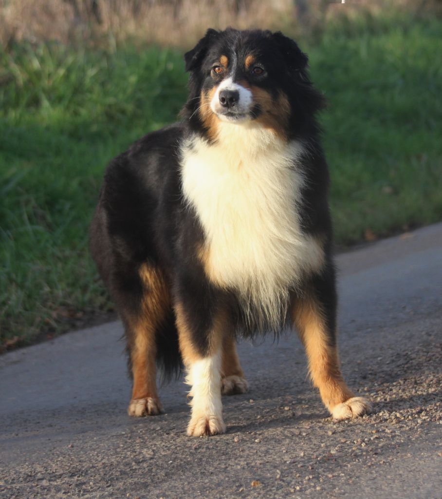 Publication : des Gardiens d'Hadès
