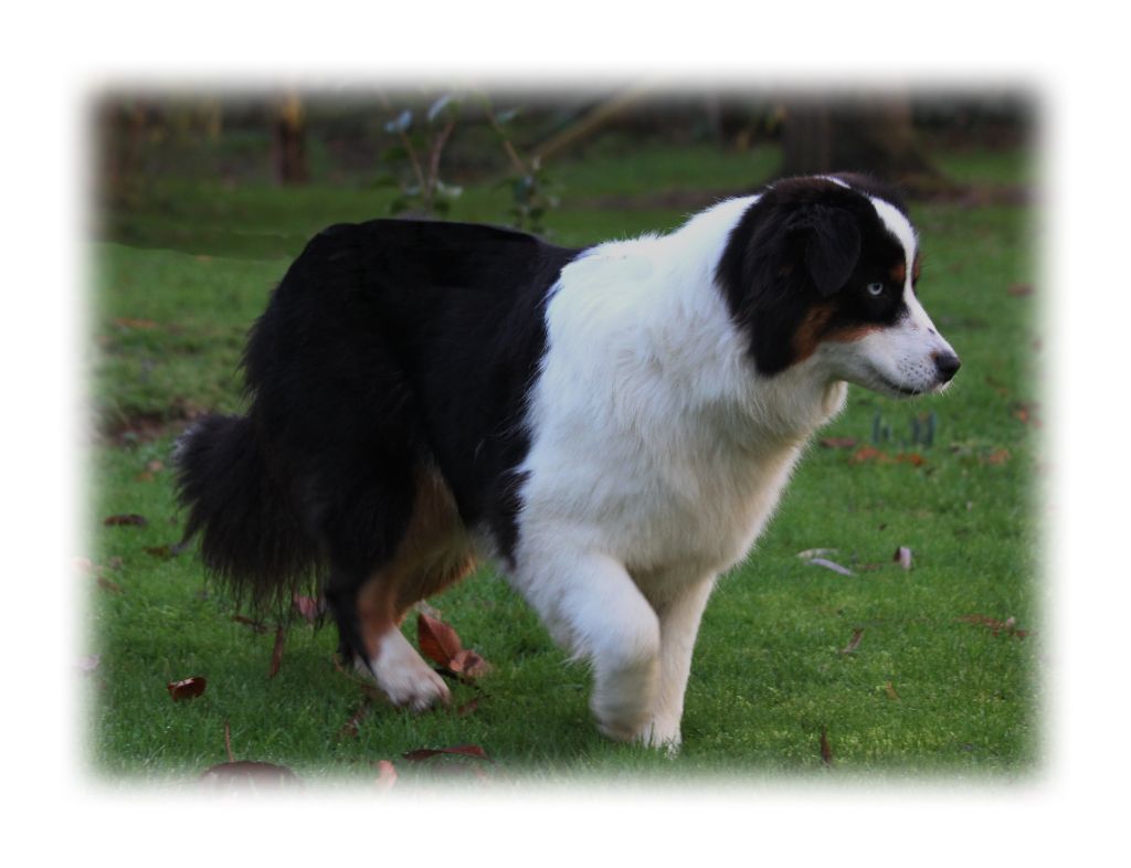 Publication : des Gardiens d'Hadès Auteur : hebert