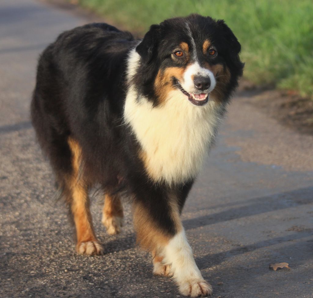 Publication : des Gardiens d'Hadès