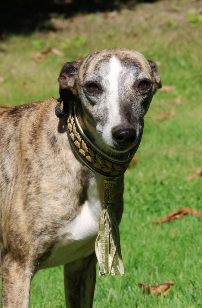 Publication : des Gardiens d'Hadès Auteur : hebert