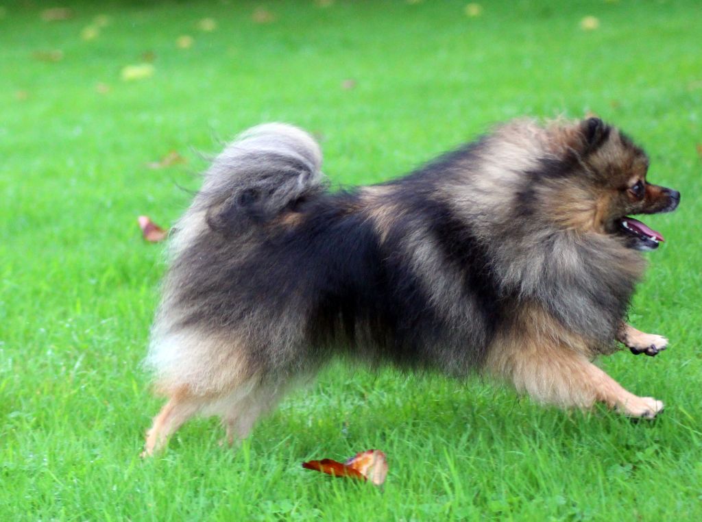 Publication : des Gardiens d'Hadès