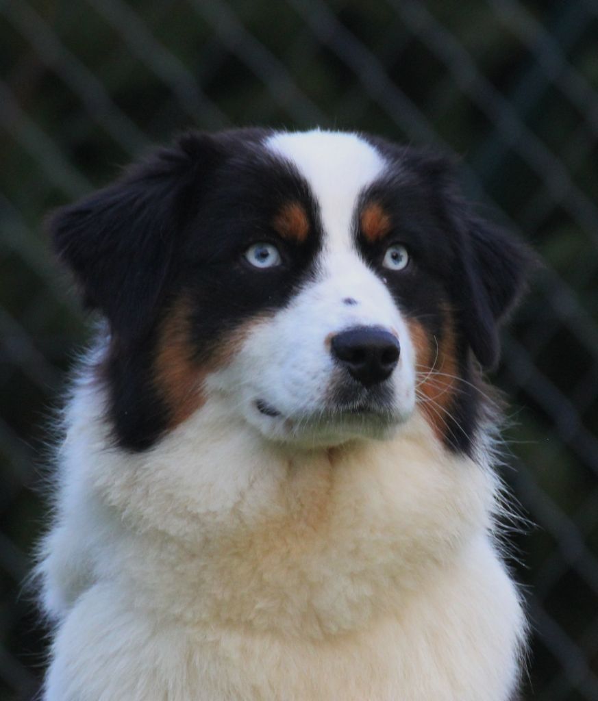 Publication : des Gardiens d'Hadès Auteur : hebert