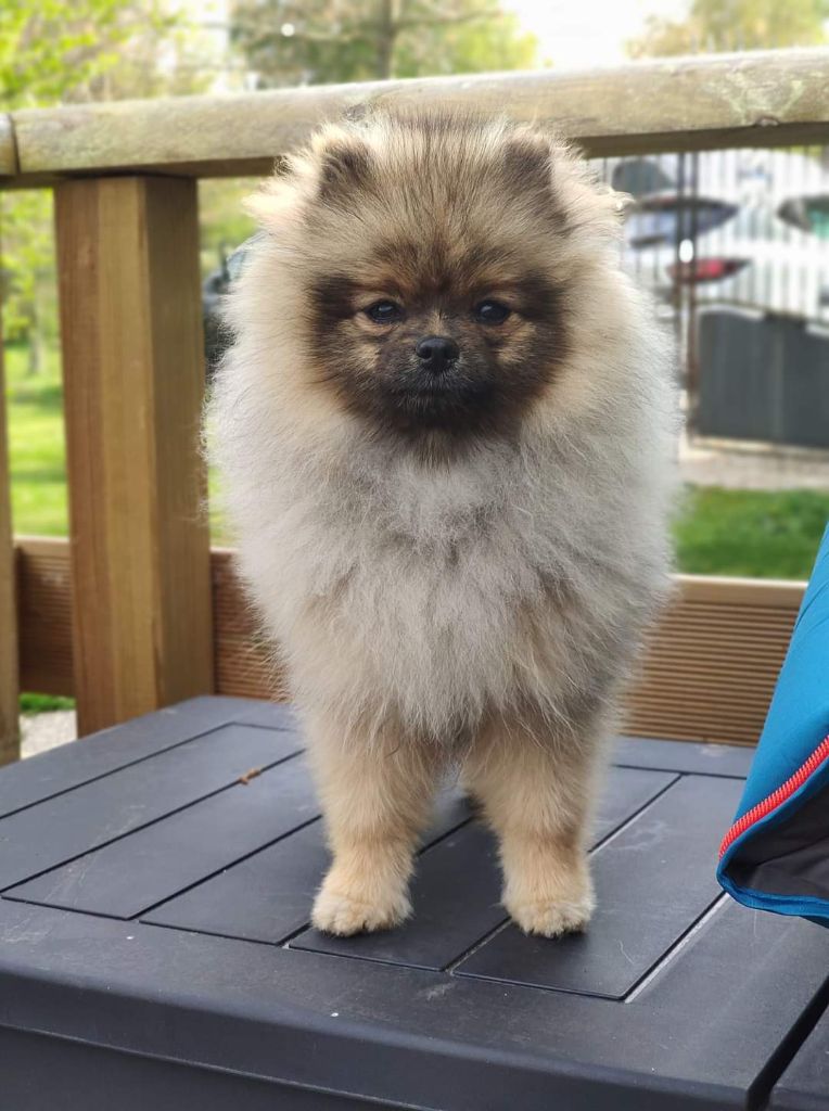 Publication : des Gardiens d'Hadès