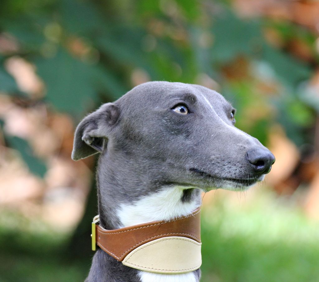 Publication : des Gardiens d'Hadès Auteur : hebert