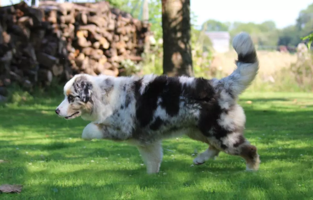 Publication : des Gardiens d'Hadès Auteur : isabelle hebert