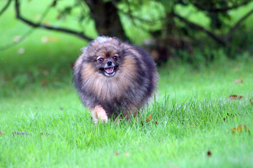 Publication : des Gardiens d'Hadès