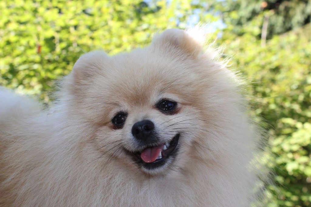 Publication : des Gardiens d'Hadès Auteur : hebert