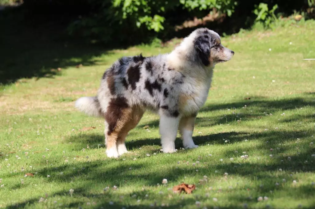 Publication : des Gardiens d'Hadès Auteur : isabelle hebert