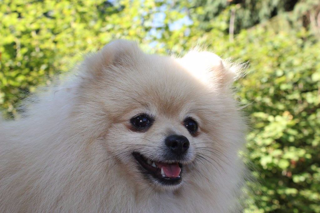 Publication : des Gardiens d'Hadès Auteur : hebert