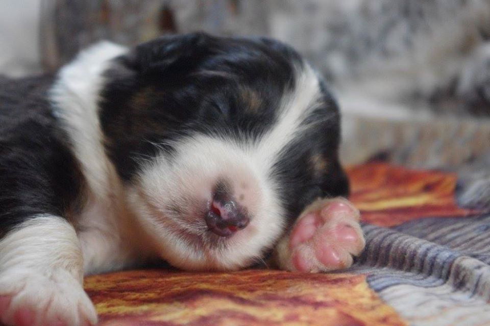 Publication : des Gardiens d'Hadès