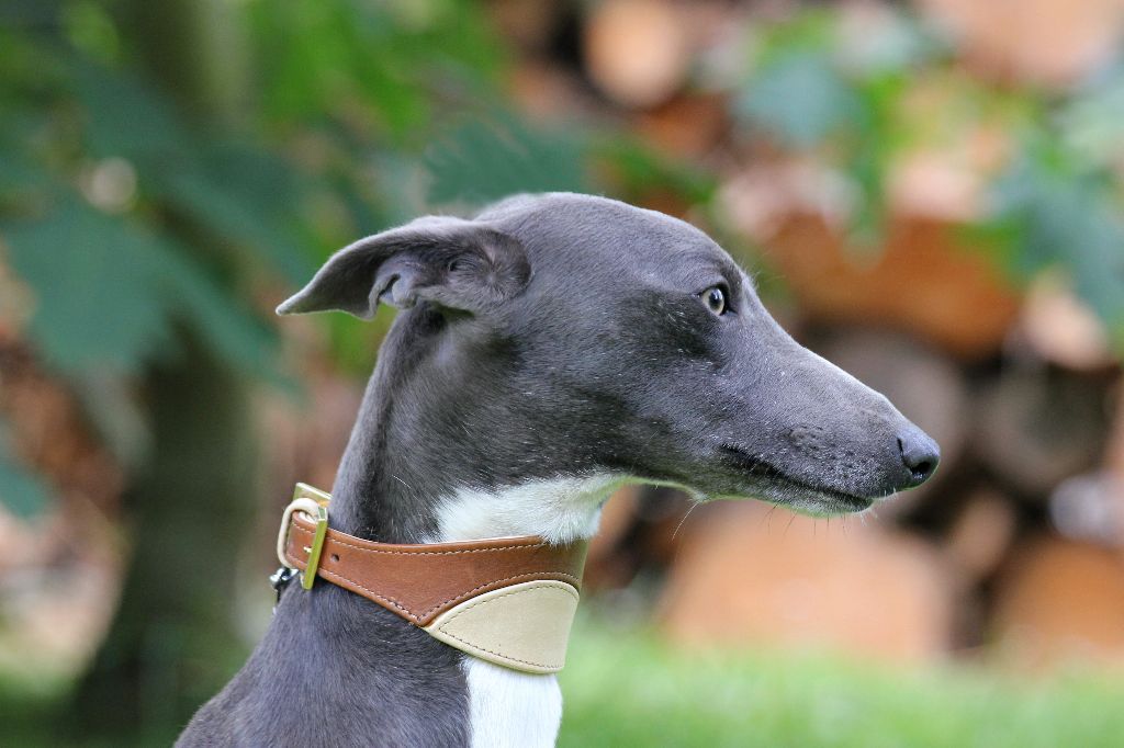 Publication : des Gardiens d'Hadès Auteur : hebert