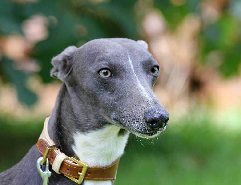 Publication : des Gardiens d'Hadès Auteur : hebert