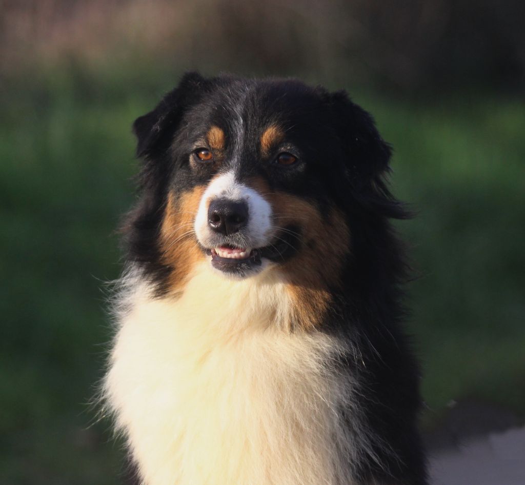 Publication : des Gardiens d'Hadès