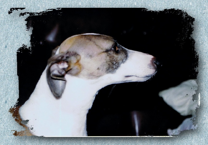 Publication : des Gardiens d'Hadès Auteur : hebert