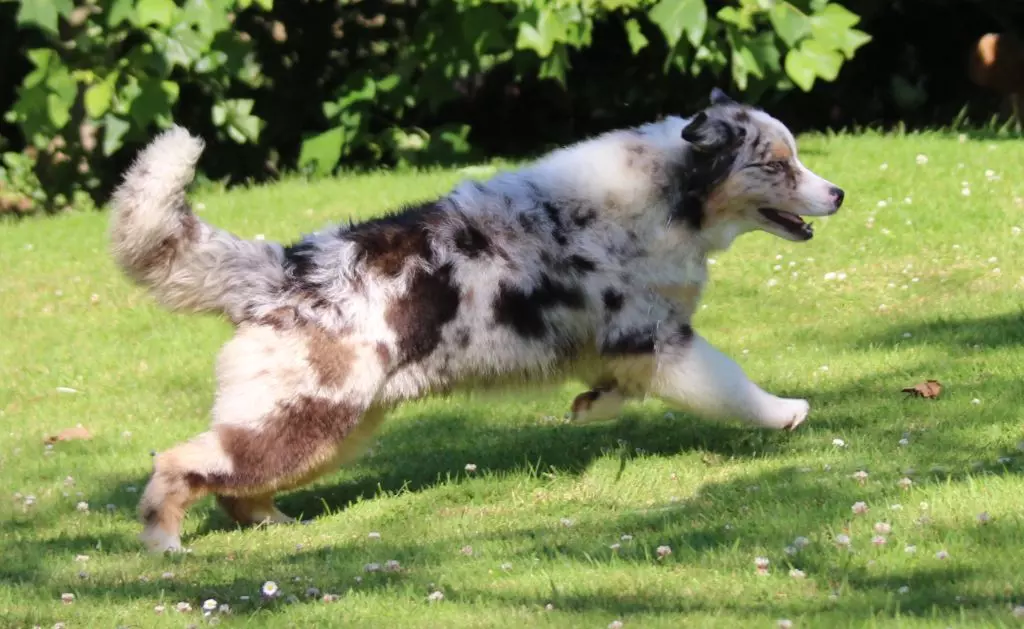 Publication : des Gardiens d'Hadès Auteur : isabelle hebert