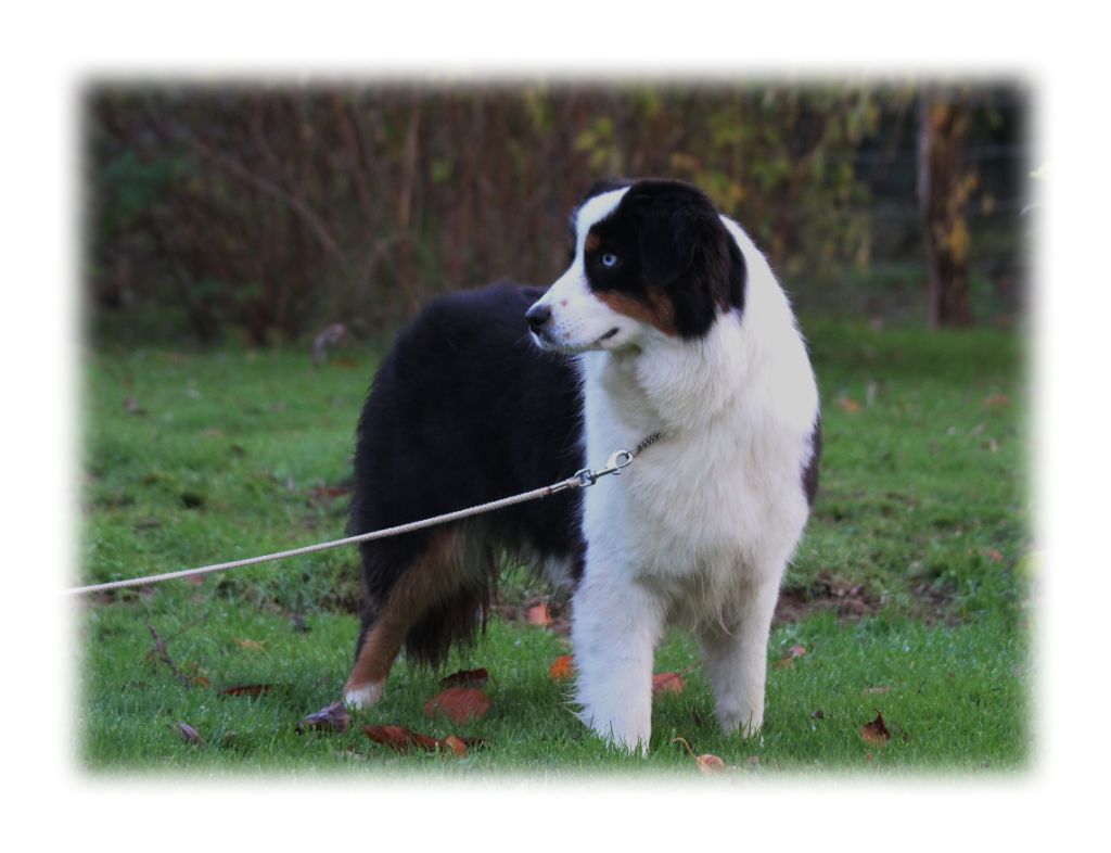 Publication : des Gardiens d'Hadès Auteur : hebert