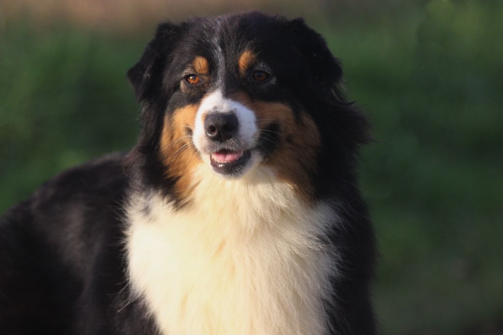 Publication : des Gardiens d'Hadès