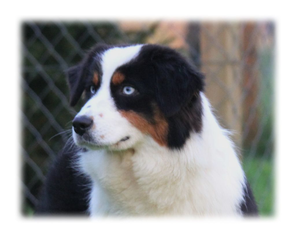 Publication : des Gardiens d'Hadès Auteur : hebert