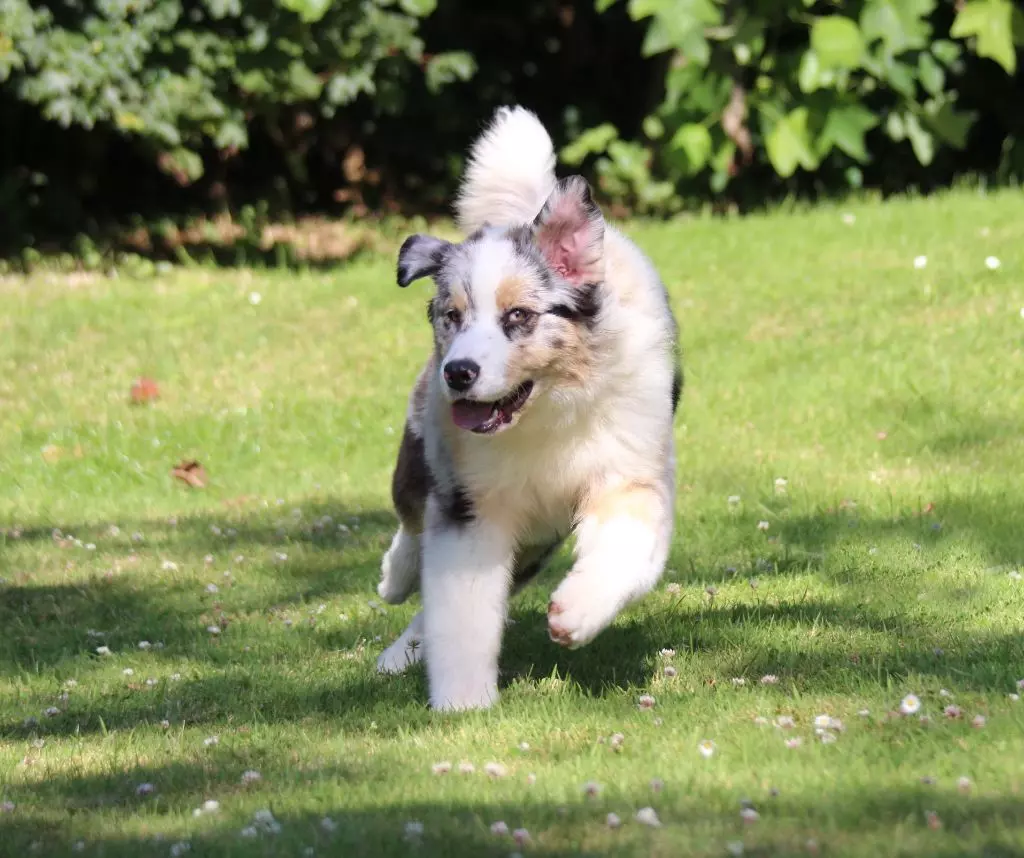 Publication : des Gardiens d'Hadès Auteur : isabelle hebert