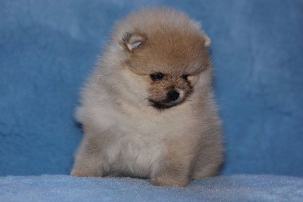 Publication : des Gardiens d'Hadès Auteur : hebert