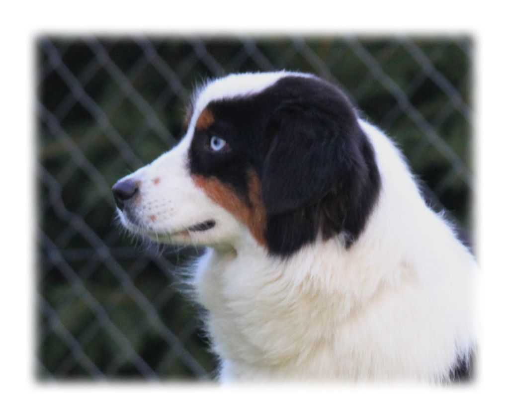 Publication : des Gardiens d'Hadès Auteur : hebert