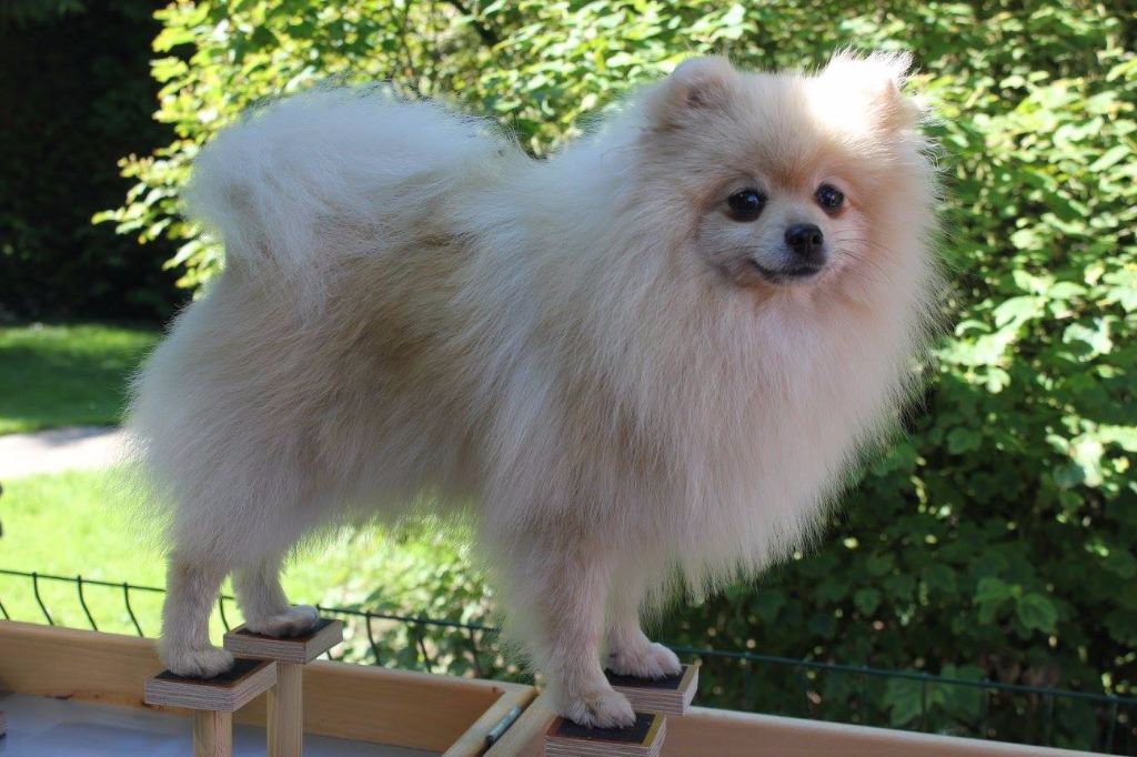 Publication : des Gardiens d'Hadès Auteur : hebert