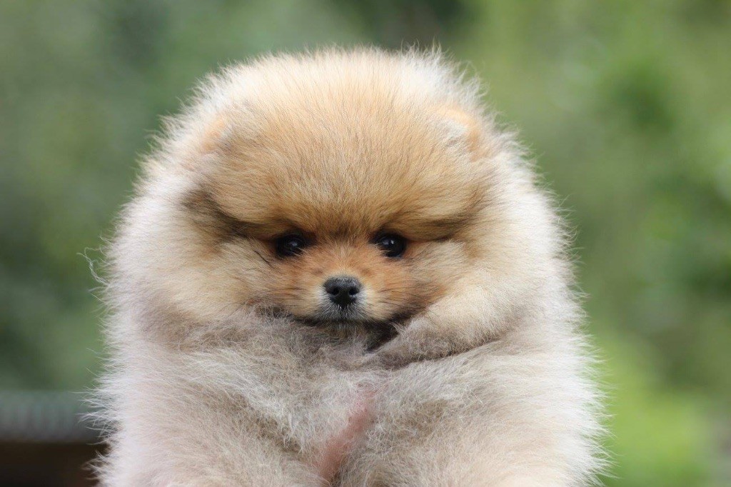 Publication : des Gardiens d'Hadès