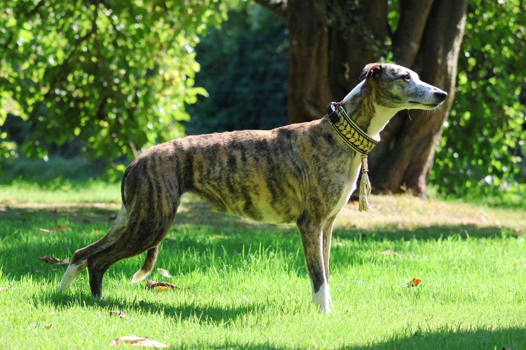 Publication : des Gardiens d'Hadès Auteur : hebert