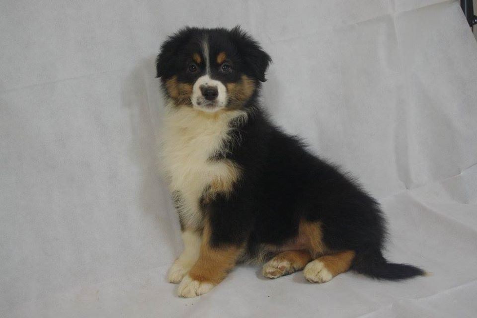 Publication : des Gardiens d'Hadès