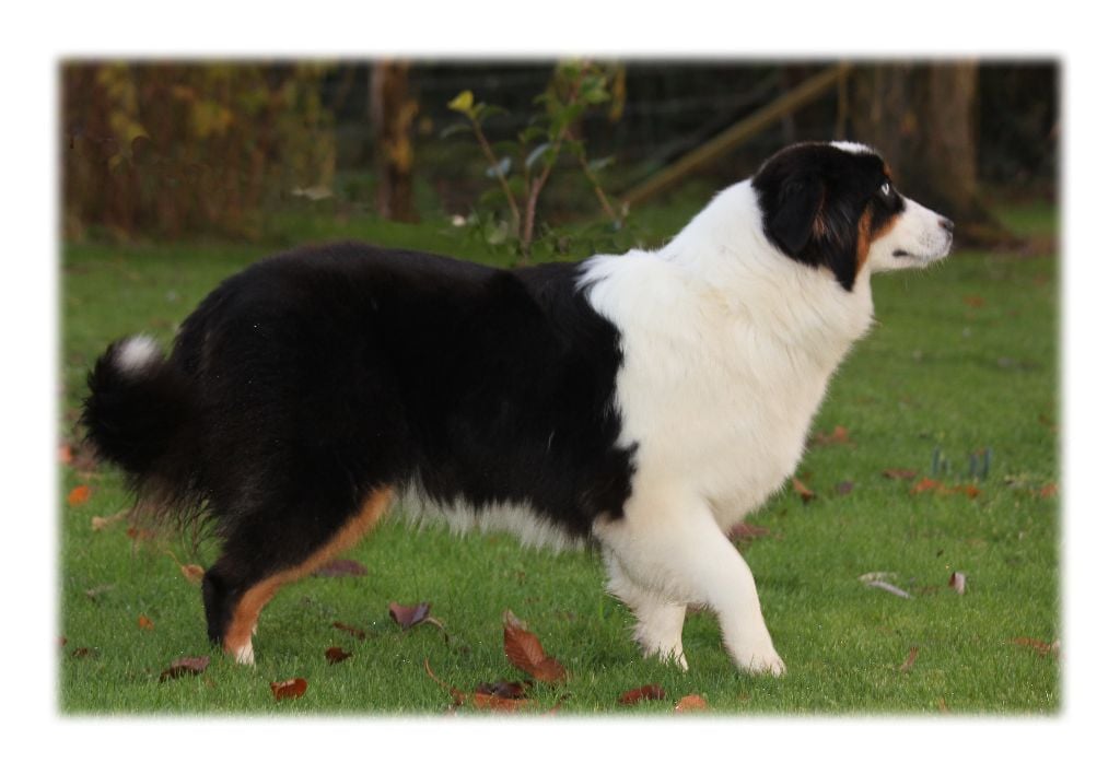 Publication : des Gardiens d'Hadès Auteur : hebert