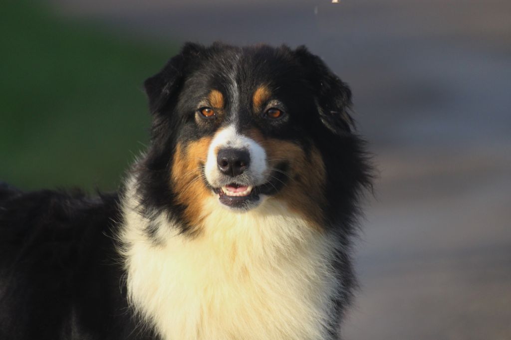 Publication : des Gardiens d'Hadès