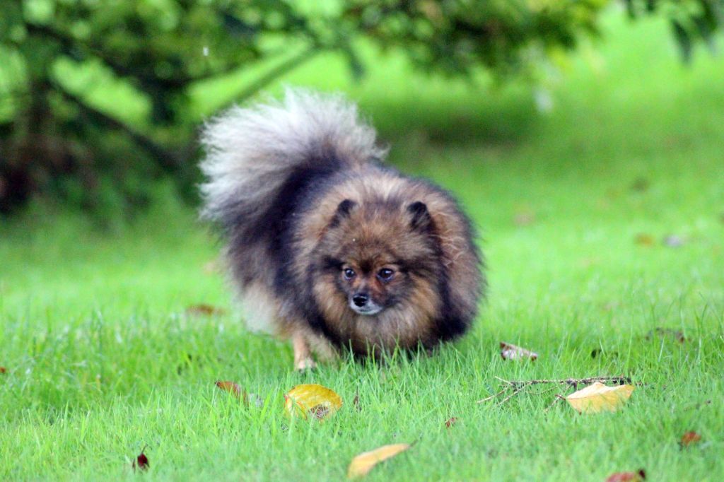 Publication : des Gardiens d'Hadès