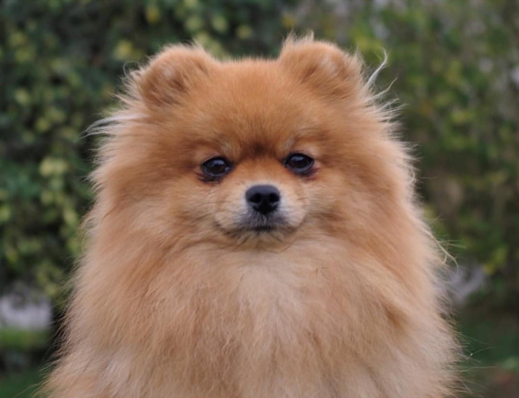 Publication : des Gardiens d'Hadès