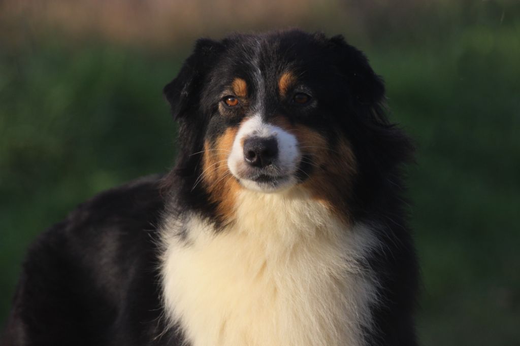 Publication : des Gardiens d'Hadès