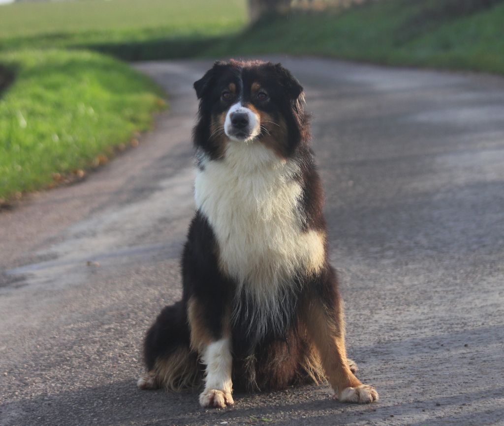 Publication : des Gardiens d'Hadès