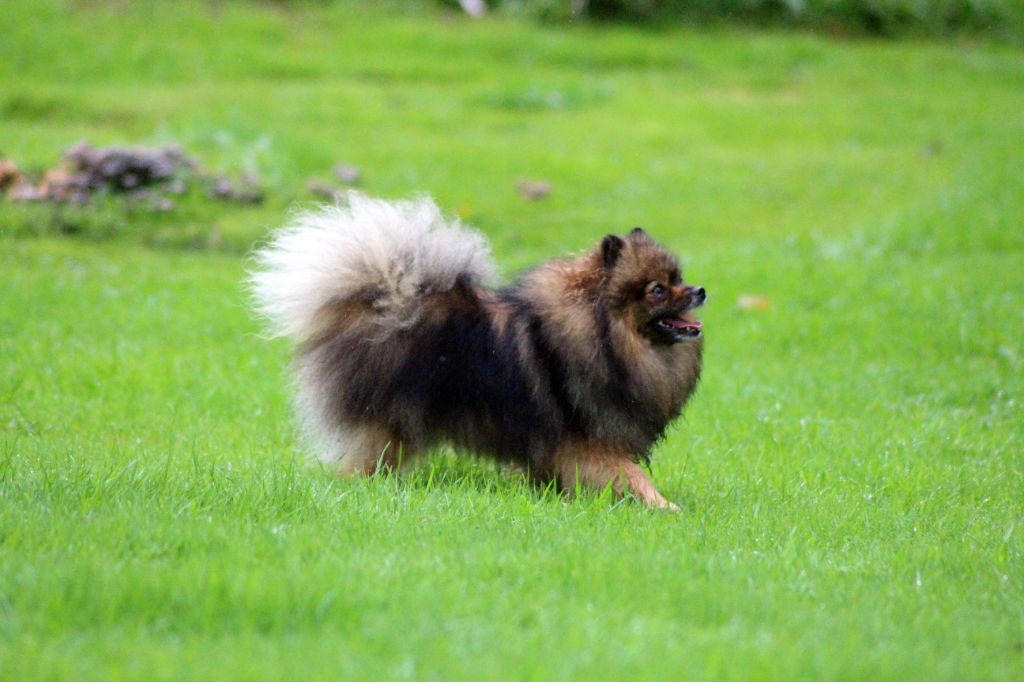 Publication : des Gardiens d'Hadès