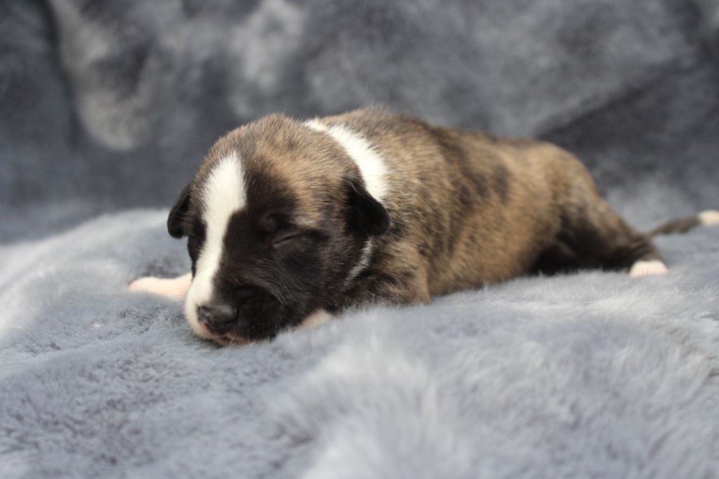 Publication : des Gardiens d'Hadès Auteur : hebert