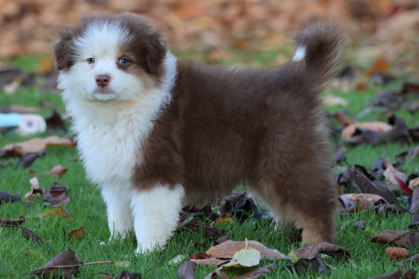 ANOTHER ONE BITE THE DUST ALMA