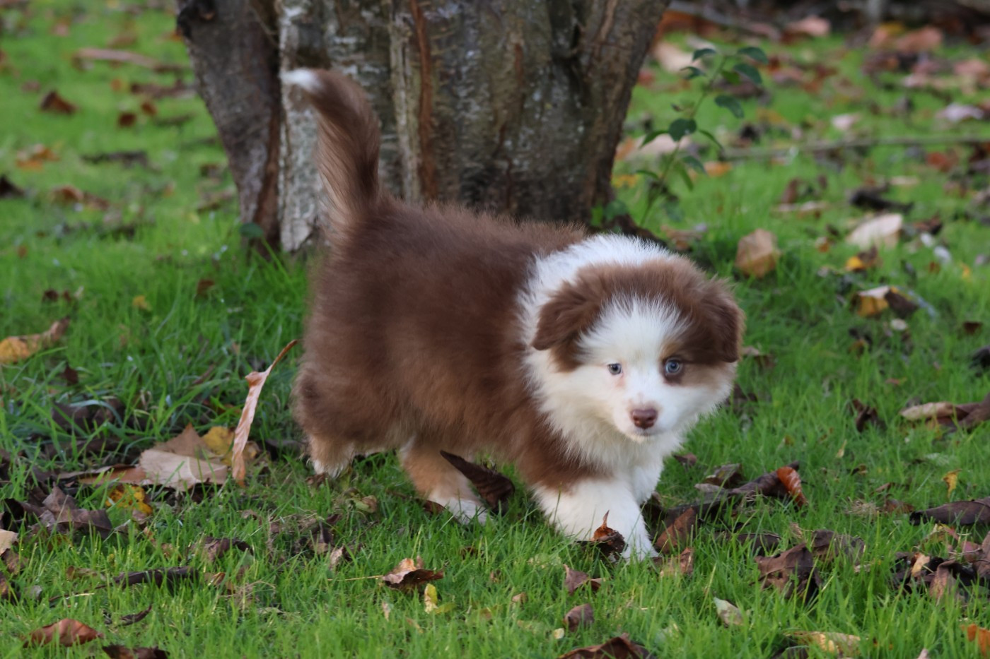 ANOTHER ONE BITE THE DUST ALMA