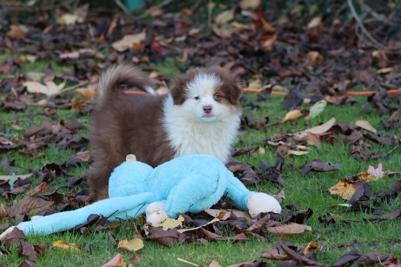 ANOTHER ONE BITE THE DUST ALMA